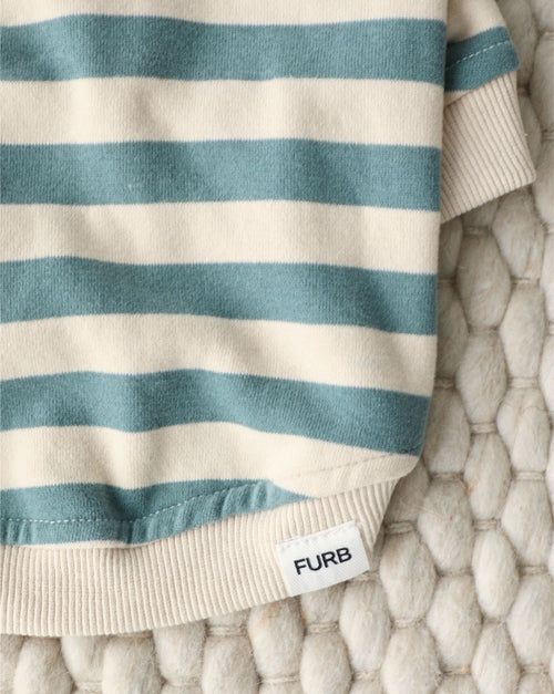 Remy Dusty Teal Stripe Dog Hoodie