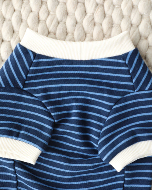 Calvin Blue Striped Dog Sweatshirt