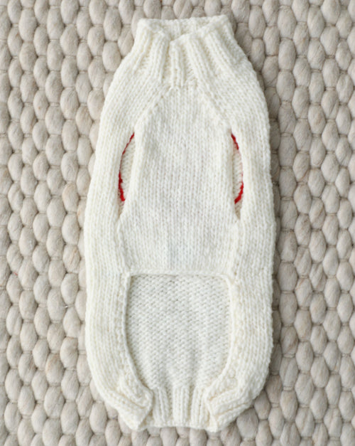 Love Notes Knit Dog Sweater