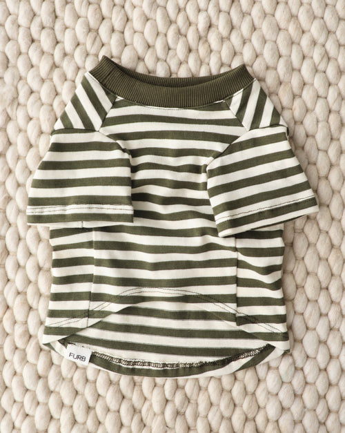 Playful Pooch Olive + Ivory Striped Dog T-Shirt