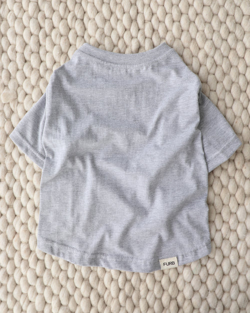 Casual Cutie Grey Relaxed Dog T-Shirt