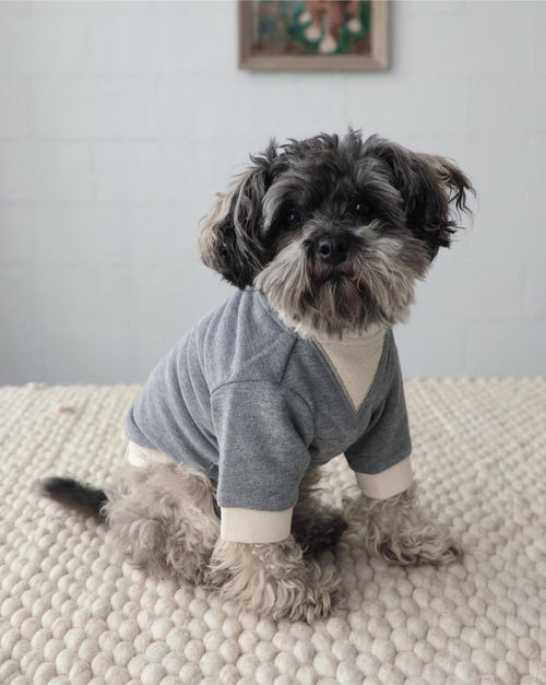 Carter Charcoal Dog Sweatshirt