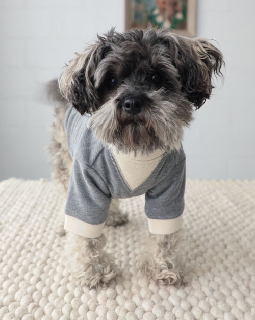 Carter Charcoal Dog Sweatshirt