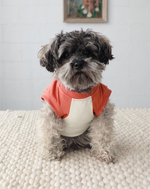 Stay Gold Ivory + Vintage Red Muscle T-Shirt