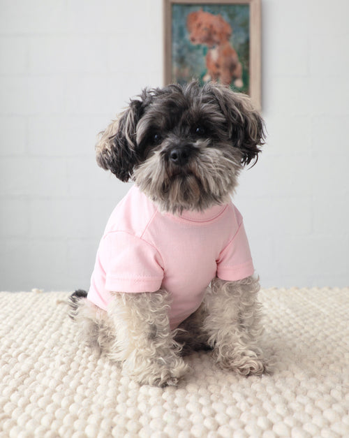 Casual Cutie Pink Relaxed Dog T-Shirt