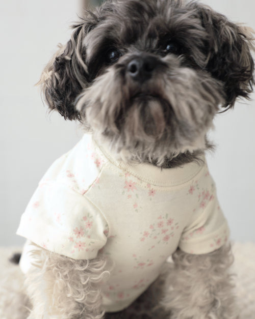 Casual Cutie Ditsy Floral Relaxed Dog T-Shirt