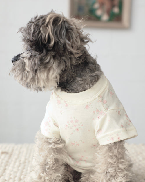 Casual Cutie Ditsy Floral Relaxed Dog T-Shirt