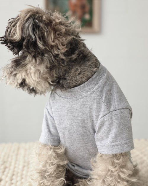 Casual Cutie Grey Relaxed Dog T-Shirt