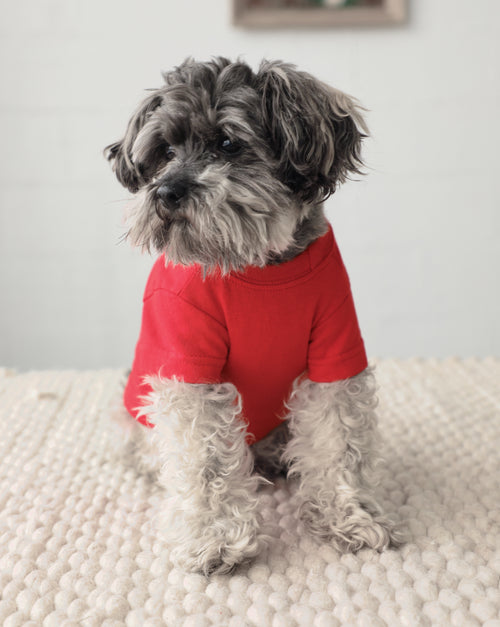 Casual Cutie Red Relaxed Dog T-Shirt
