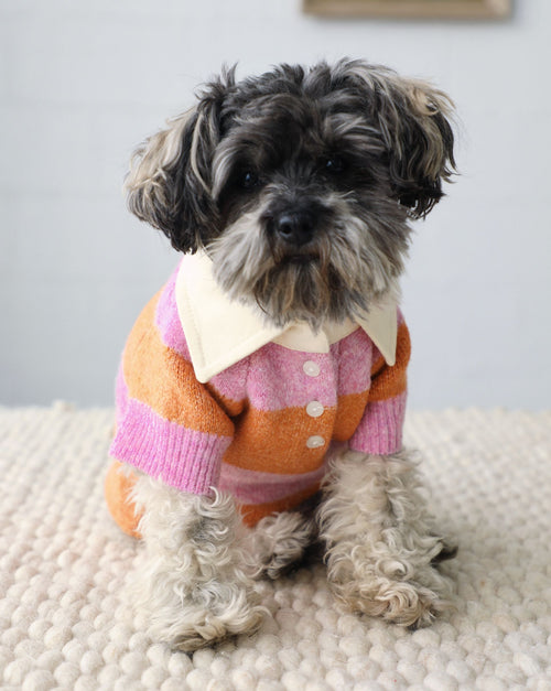 Pink and orange striped rugby dog sweater with a playful preppy vibe, great for daily wear, perfect for pugs, French bulldogs, and cavapoos