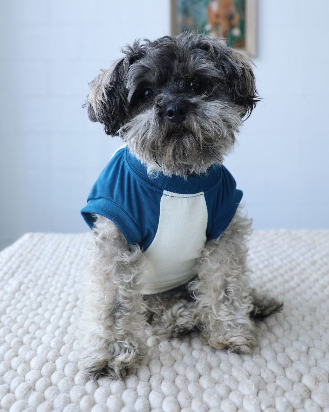 dress blues for dogs Cute Blue Dog Clothes a chest size of summer23 Sequin V Neck Mini Color:Black Sequins