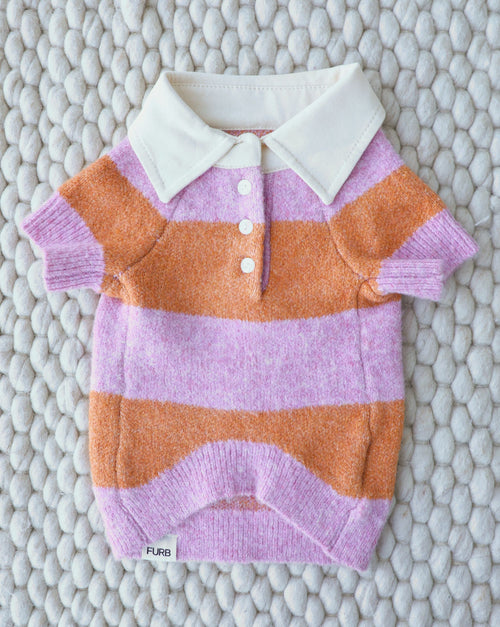 Colorful striped dog sweater with a sporty rugby style, ideal for transitional weather, loved by dachshunds, corgis, and Boston terriers