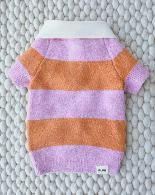 Preppy striped dog sweater with a fun color palette, designed for comfort and movement, ideal for Frenchies, spaniels, and mixed breeds