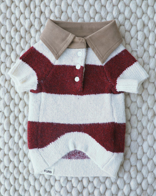Burgundy and ivory striped rugby sweater for dogs with a timeless preppy feel, great for cooler days, ideal for French bulldogs and spaniels