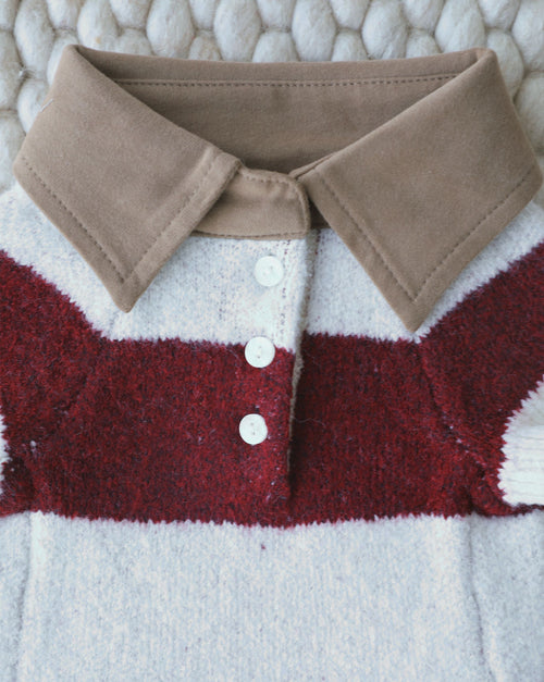 Soft knit rugby dog sweater with warm neutral stripes, designed for comfort, great for shih tzus, cavaliers, and Frenchies