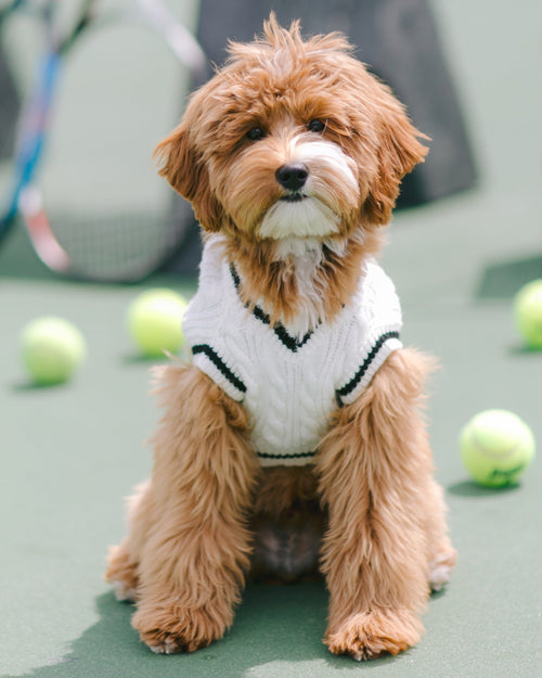 Forty Love Ivory Cable Knit Sweater