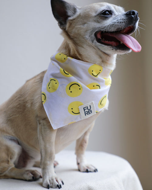 nice dog bandana