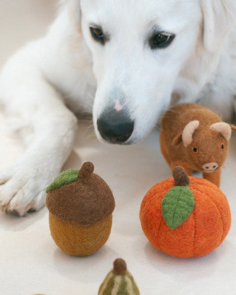 Nuts About You Acorn Wool Dog Toy