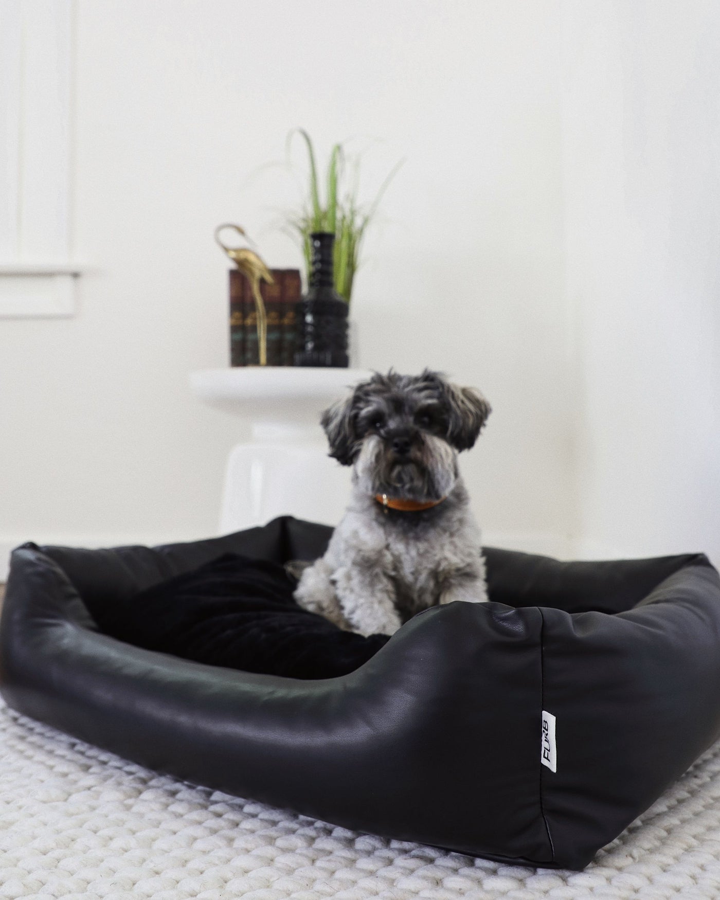 All Curled Up Black Structured Bed