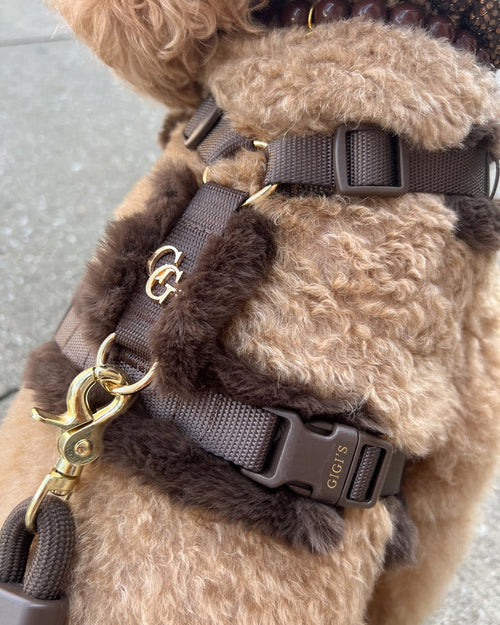 On Cloud K-9 Mocha Teddy Dog Harness