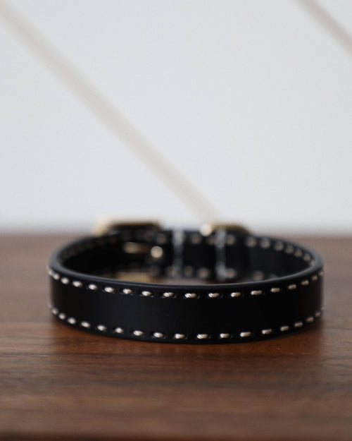 Close-up of Take the Lead + Wylde pony hair dog leash with leather handle, showing quality craftsmanship and texture details