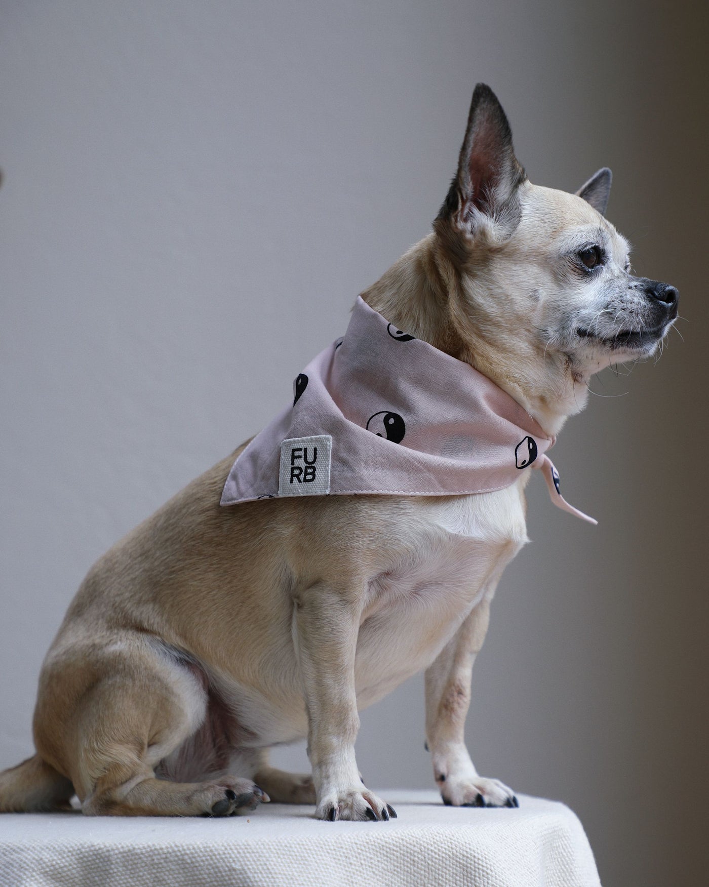 Total Zen Pink Yin Yang Dog Bandana