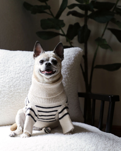 a striped dream, with a comfy ivory knit body covered in thin black stripes, and perfect ribbed ivory turtleneck with coordinating sleeves. The long turtleneck folds over as a toasty touch, and sleeves can be cuffed for a more casual vibe poodle apparel