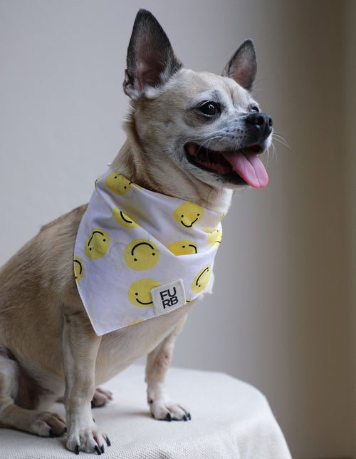 Stella Smiley Face Bandana Product Image
