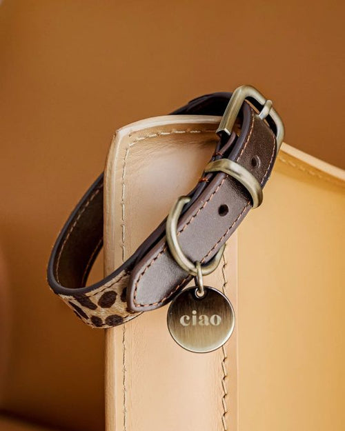 Wylde Brown Spotted Dog Bundle