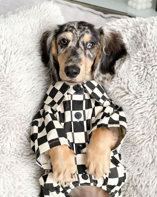 Ryder Black Check Dog Shirt