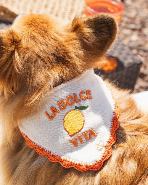 Dolce Days Dog Bandana