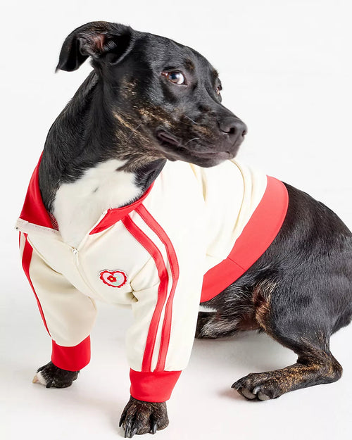 Team Captain Ivory + Red Track Jacket