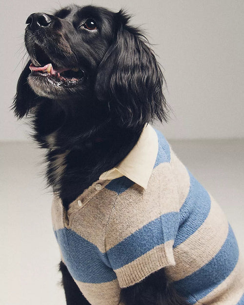 Prep School Pup Blue + Grey Striped Rugby Sweater