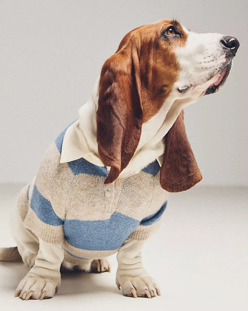 Prep School Pup Blue + Grey Striped Rugby Sweater