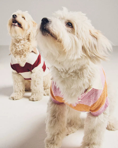 Prep School Pup Pink + Orange Striped Rugby Sweater