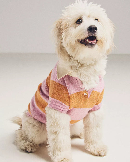 Prep School Pup Pink + Orange Striped Rugby Sweater