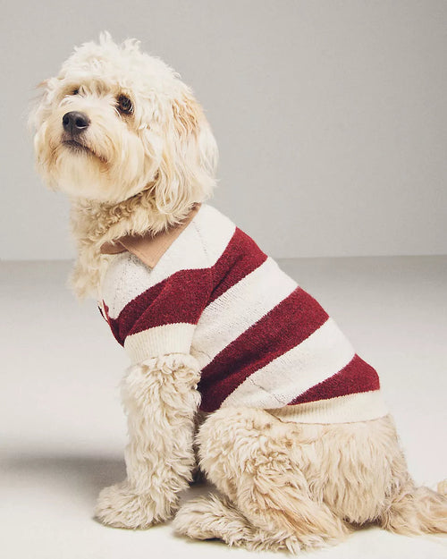 Prep School Pup Burgundy + Ivory Striped Rugby Sweater