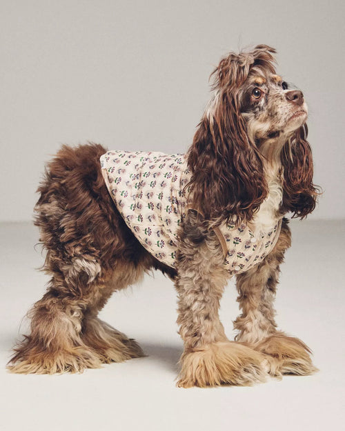 Fur-get Me Not Floral Quilted Dog Vest