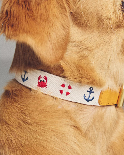 Seas The Day Embroidered Dog Collar