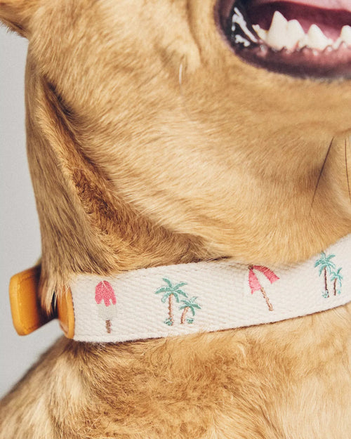 Endless Summer Embroidered Dog Collar