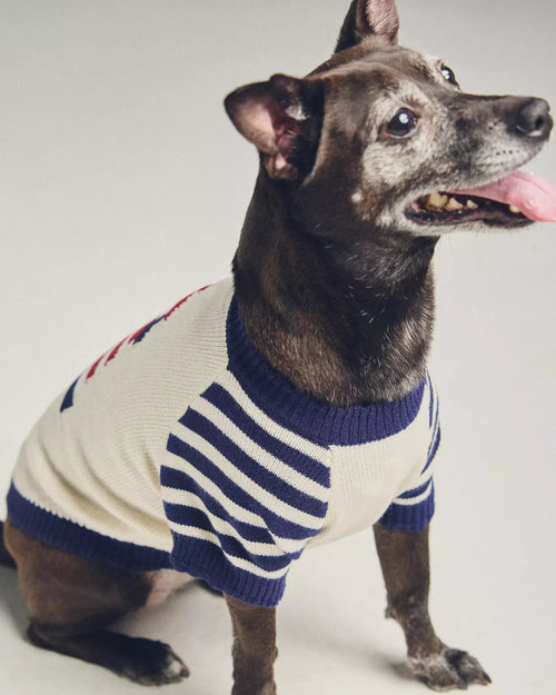 Shore Thing Lighthouse Sweater