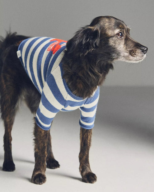 In A Pinch Blue + White Striped Sweater