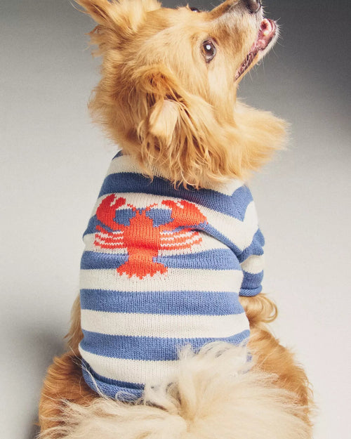 In A Pinch Blue + White Striped Sweater