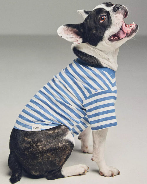 Casual Cutie Blue + White Relaxed Dog T-Shirt