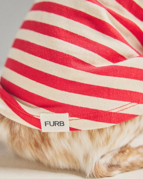 Casual Cutie Red + White Relaxed Dog T-Shirt