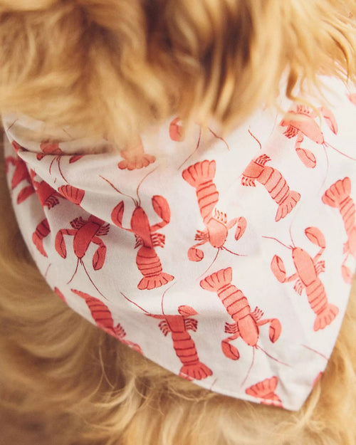 Pinch Perfect Lobster Dog Bandana