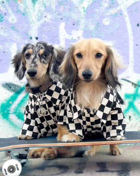 Ryder Black Check Dog Shirt