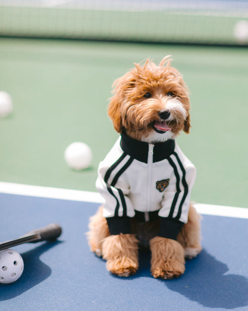 Team Captain Ivory + Black Track Jacket