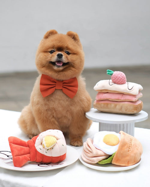 Berry On Top Snuffle Dog Toy