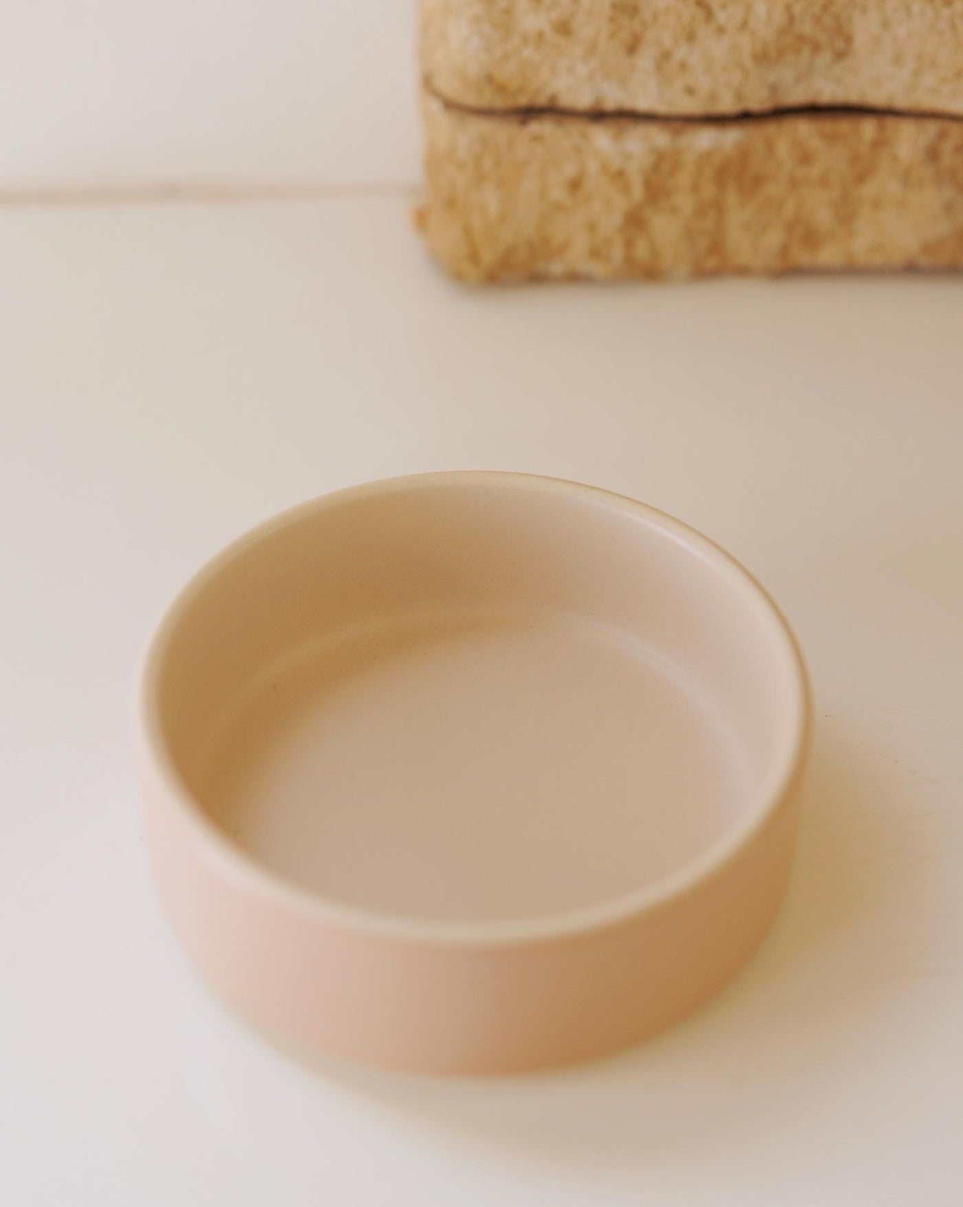 Bowled Over Modern Blush Dog Bowl